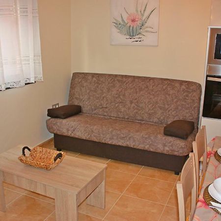 El Buho Apartment Wi-Fi プエルト・デル・ロサリオ エクステリア 写真
