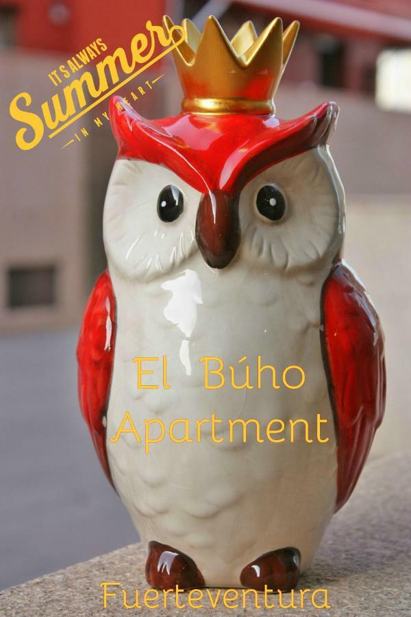 El Buho Apartment Wi-Fi プエルト・デル・ロサリオ エクステリア 写真